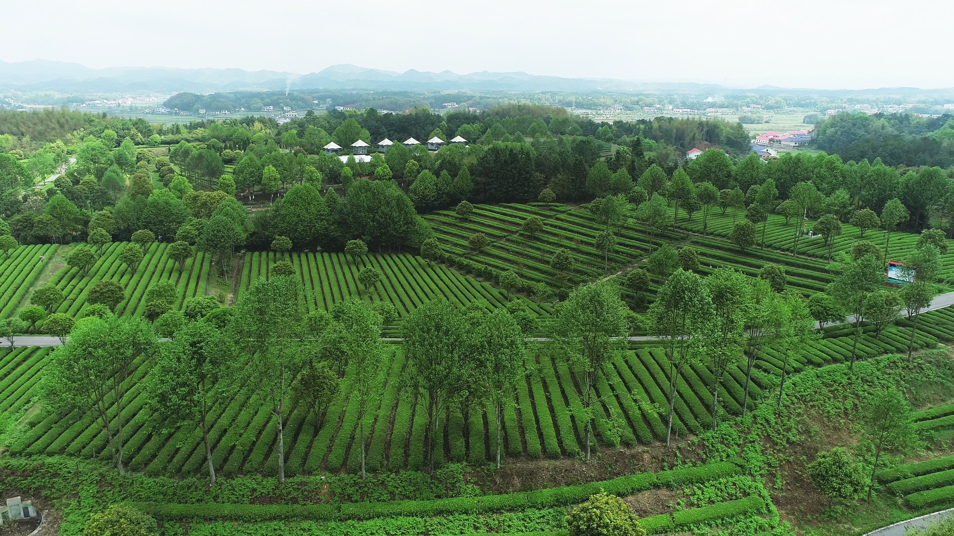 5-KY平台-KY（中国）一站式服务平台飞跃基地.jpg