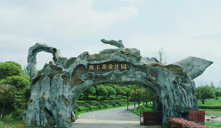 KY平台-KY（中国）一站式服务平台茶业庄园.png