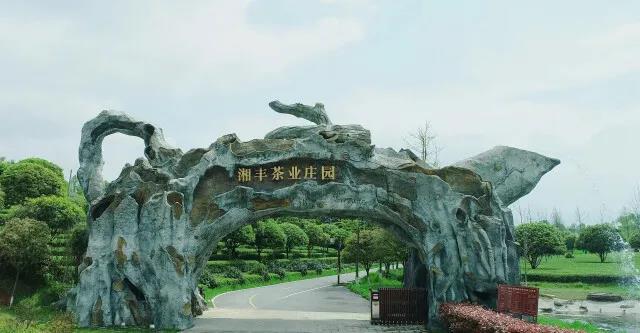 KY平台-KY（中国）一站式服务平台茶业庄园.jpg
