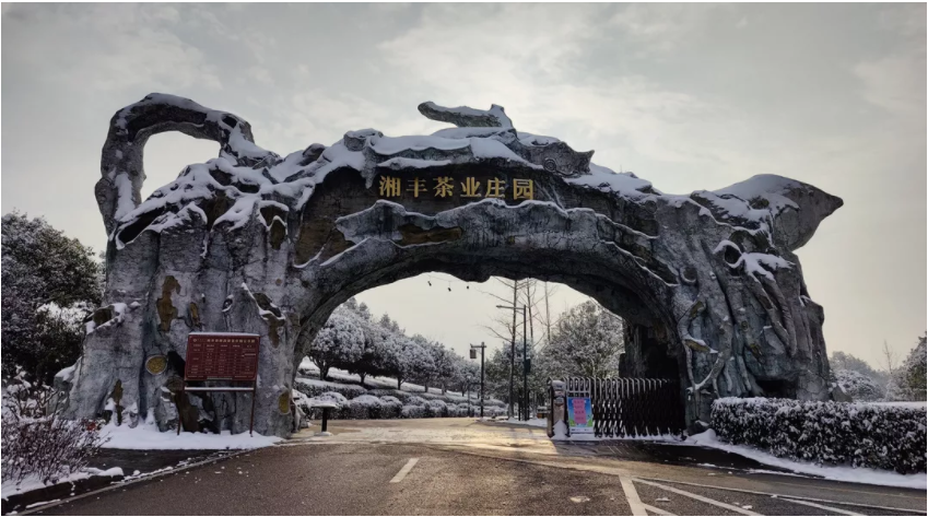 KY平台-KY（中国）一站式服务平台茶业庄园.png