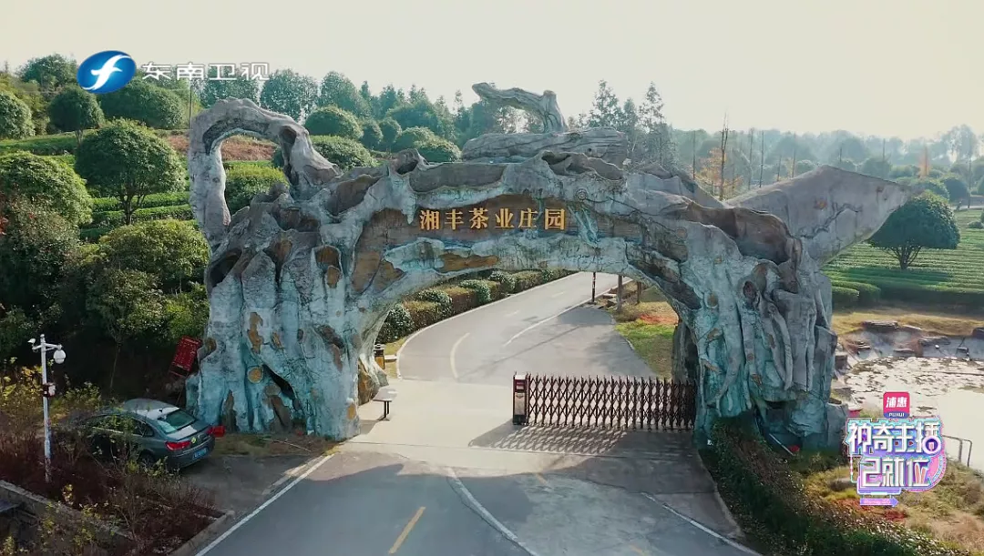 KY平台-KY（中国）一站式服务平台茶业庄园.png