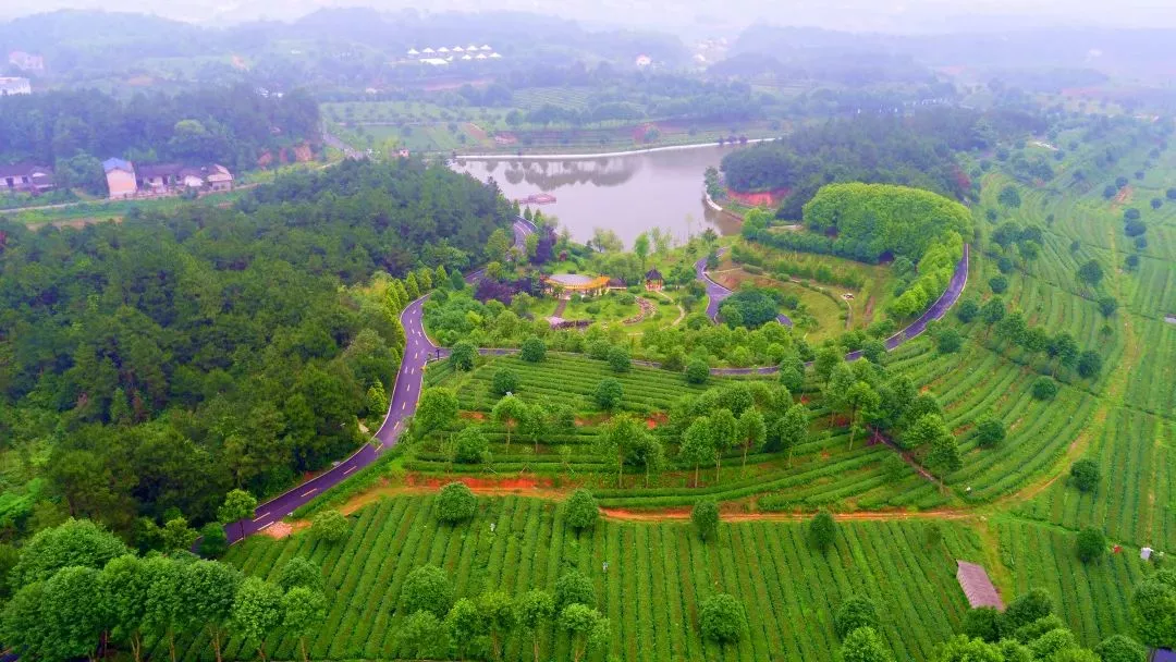 KY平台-KY（中国）一站式服务平台茶业庄园—百茶园.png